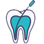 Endodonti